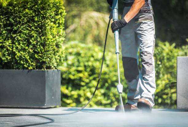 Best Boat and Dock Cleaning  in Monte Alto, TX